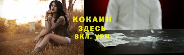 твердый Болотное