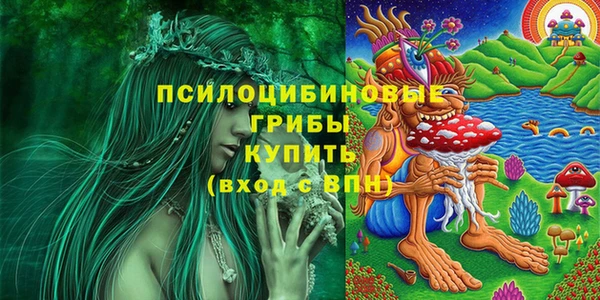 прущая мука Алзамай