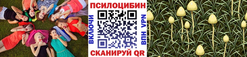 Псилоцибиновые грибы мицелий  Карачев 